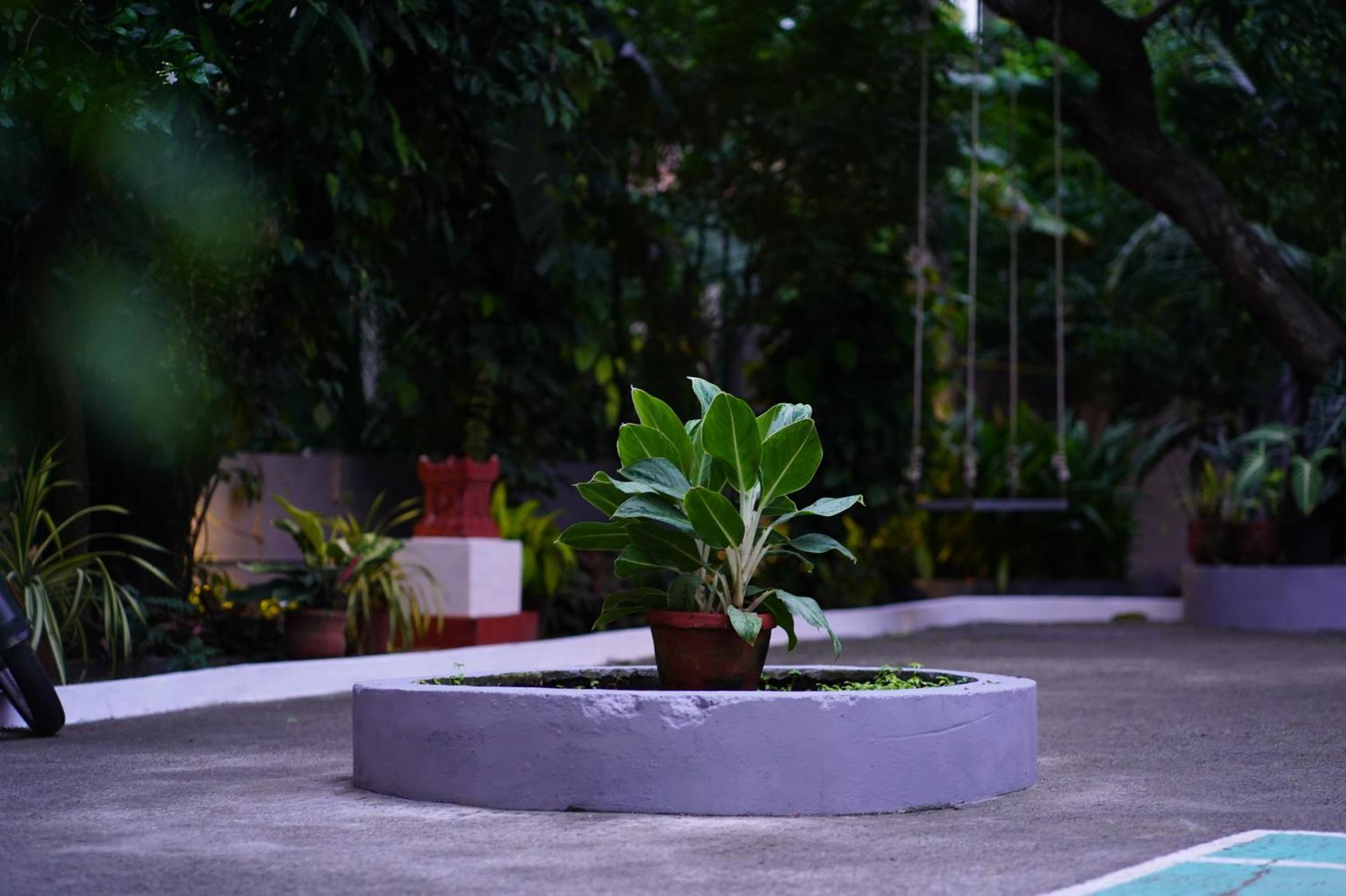Remasailam Homestay - Thiruvananthapuram , Calm & Blend With Nature Esterno foto